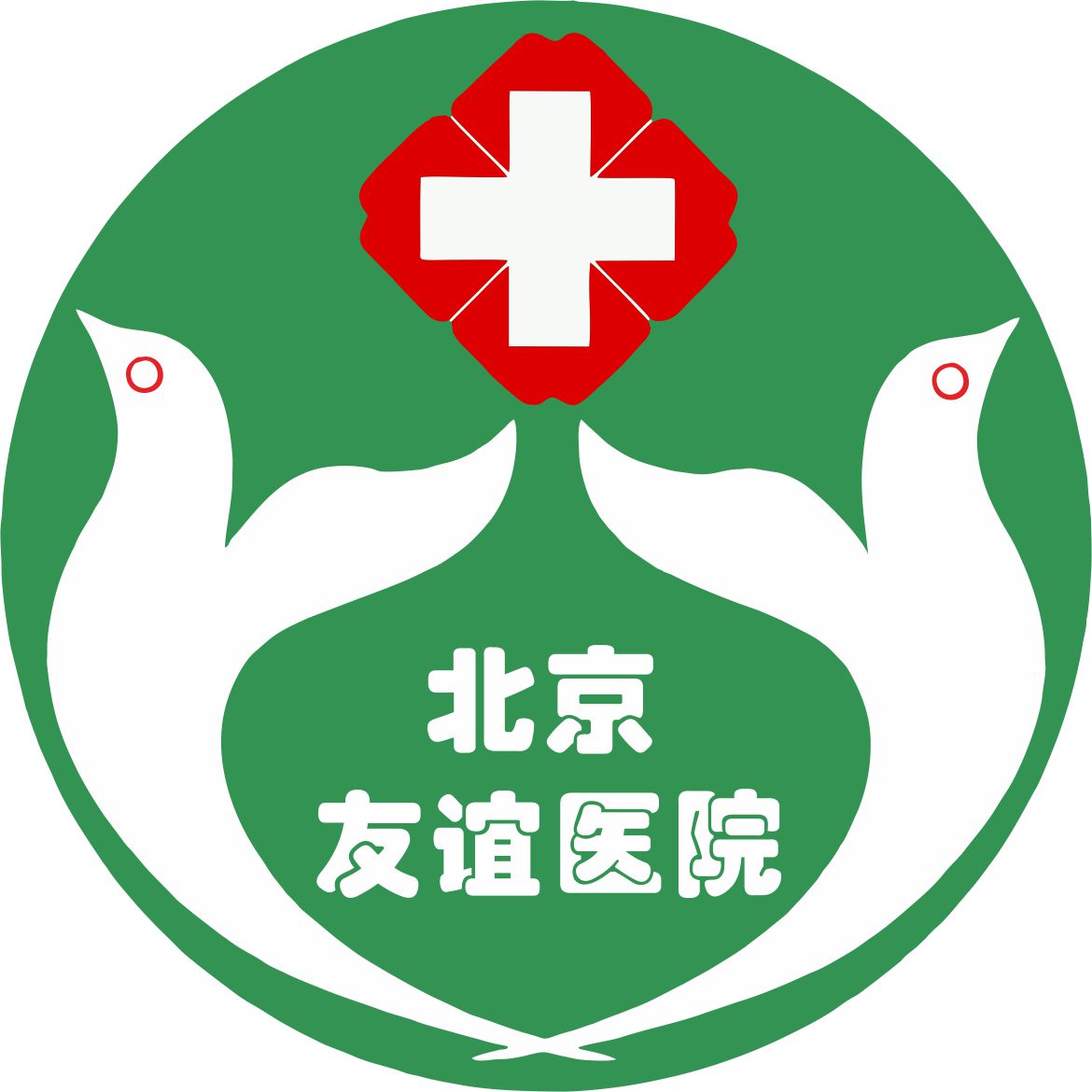 首都醫(yī)科大學(xué)附屬北京友誼醫(yī)院